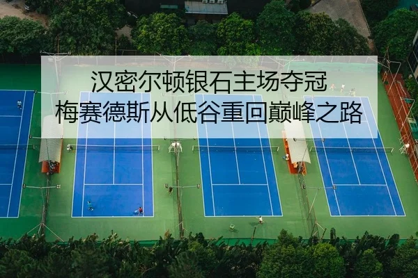 汉密尔顿银石主场夺冠 梅赛德斯从低谷重回巅峰之路 - yaxin